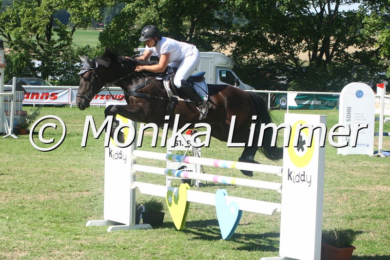 308M2503_Lantendro_Springpf L.JPG